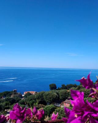 Villa Azur Cap d'Ail