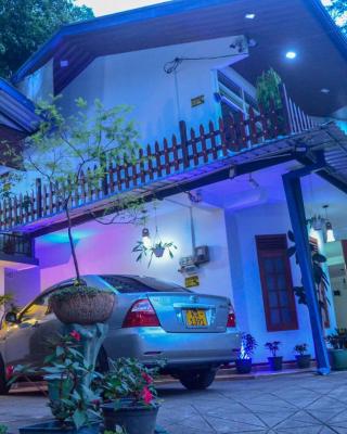 New Blue Home