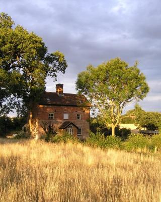 Oak Tree Farm