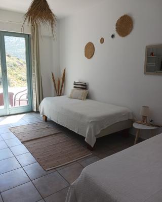 Andros summer house