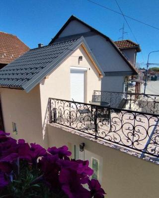 Apartman Djune