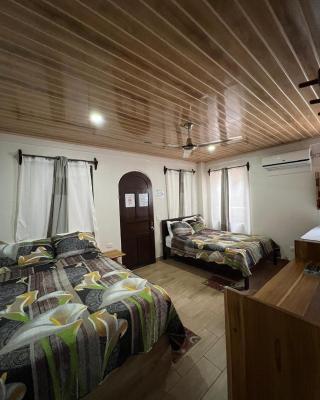 Apartamentos Mansión Tropical