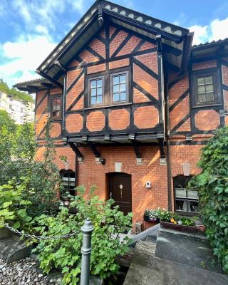 Ferienhaus Villa Frosch
