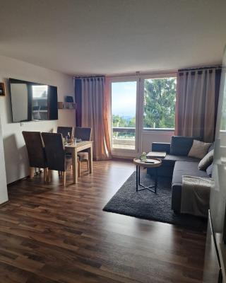 Ferienwohnung Mecarda in Sankt Englmar