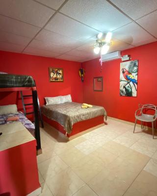Windmill Hostal