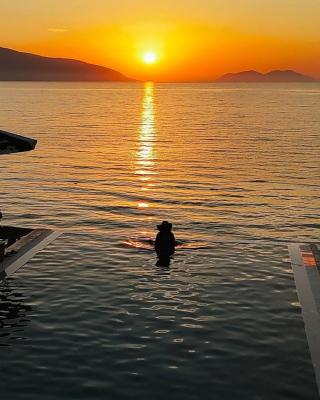 Dukes Albania