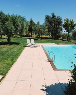 Angelucci Agriturismo con Camere e Agri Camping