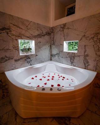 Lisa Zemun Spa Apartment