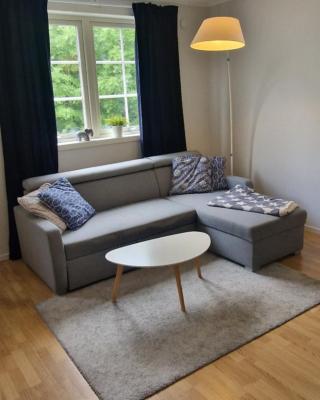 Fjärilsgatan