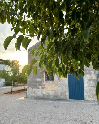 Tenuta Villa Vittoria