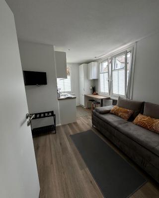 Rheinblick Ferienwohnung
