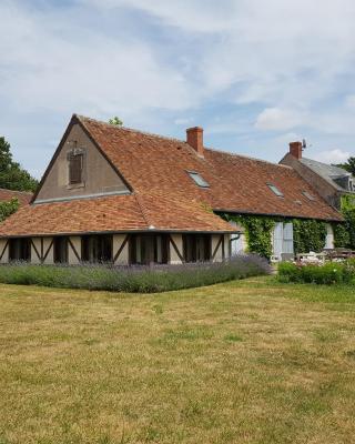 Closerie de La Salière, gîte de charme et chambres d'hôtes, châteaux de la Loire, zoo de Beauval