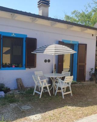 Loft immerso nel bosco