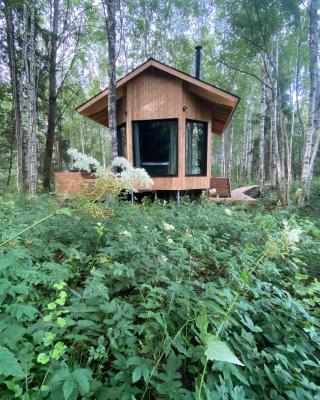 Paunküla Nature Resort (forest villa)