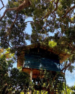 Single Trees Yala