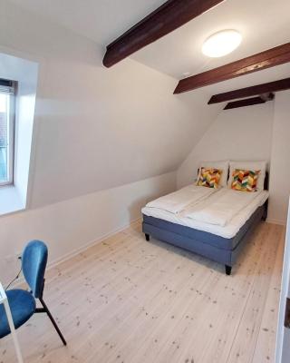 Large Double Room In The Center Of City