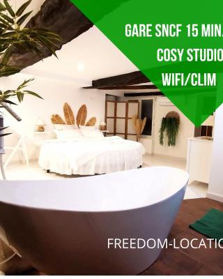 Studio équipé avec Lit rond / baignoire ilot / Table massage Aux Arcs