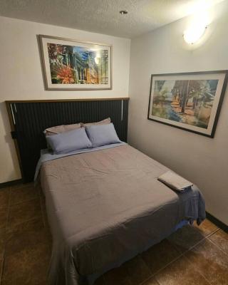 Santurce Studio near la placita 9