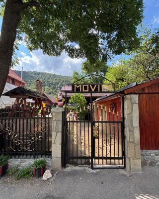 Vila Movilă