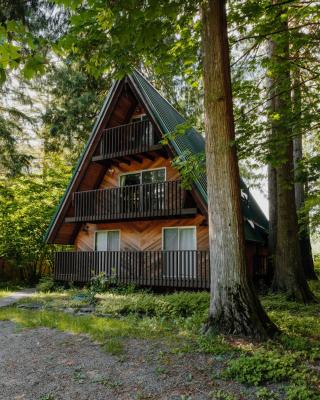 Spacious North Cascades Riverside A-Frame with Mt Baker Views - Dog-Friendly