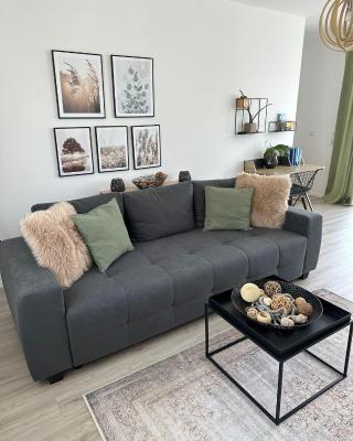 Dream Apartments