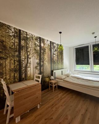 Krumlovský Vltavín