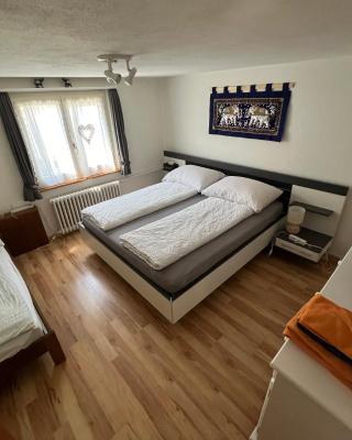 Bristenblick