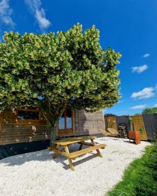 Tiny House Petite Balnéo Cheminée exterieure