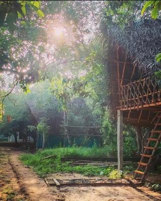 Art Forest