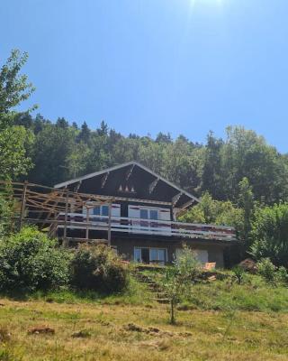 Le chalet des amis