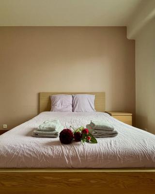 Grand Appartement à Deux Pas De La Vieille Ville