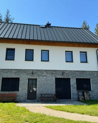 Apartmán U lesa