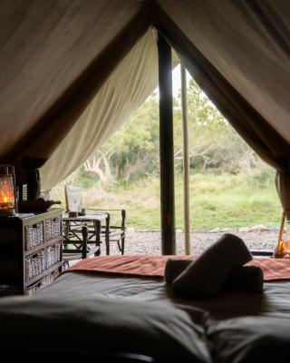Quatermain's 1920's Safari Camp – Amakhala Game Reserve