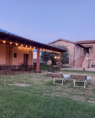 Alba su Assisi