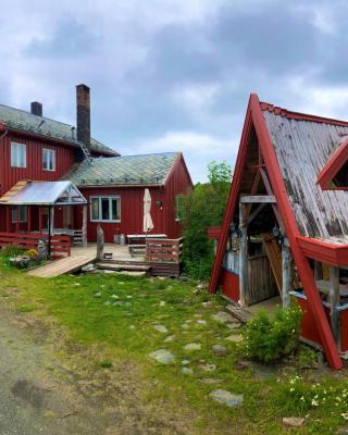 Pasvik Taiga