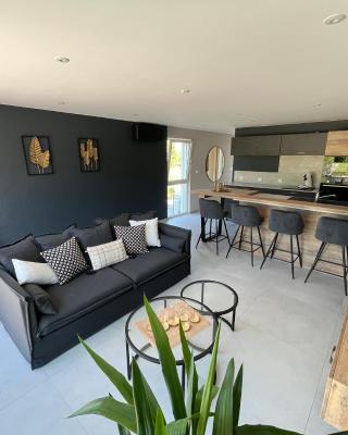 Gîte des rossignols proche d Obernai avec jardin 4 adultes