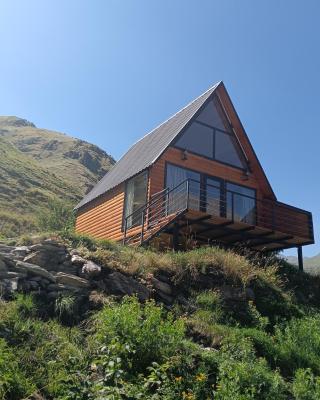 My house
