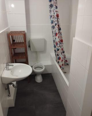 Zimmer in Sülz in einer Wohnung