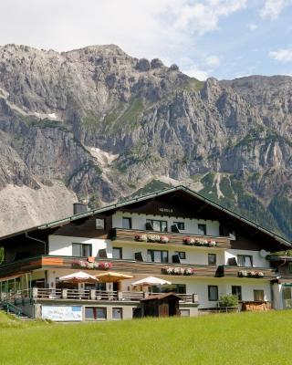 Kraftplatz am Dachstein - Herold - für Ruhesuchende und sportlich Aktive