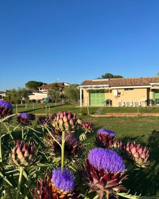 Il giardino di nunzia