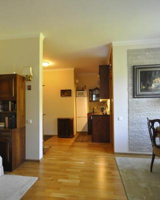 Down Town Apartment