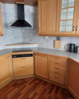 Spacious three room apartment with a large kitchen and bathroom