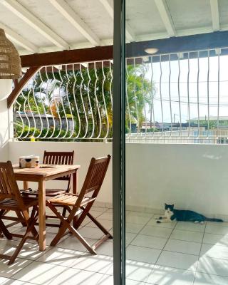 La maison bleue 20 rue Aubin Edmond