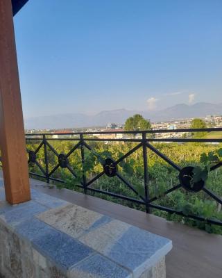 Vila Shehi Guesthouse and Winery
