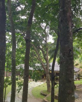 Villa D55