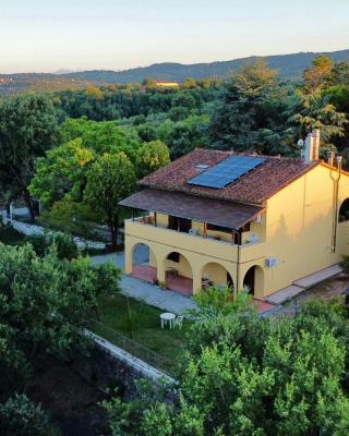B&B Terre Toscane