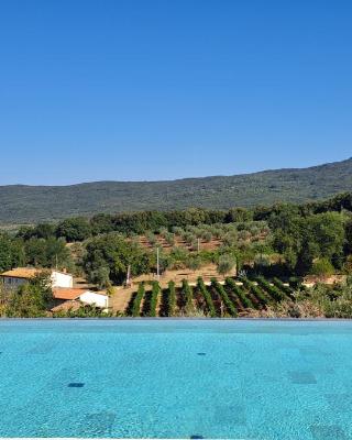 Wine Glamping Le Sedici
