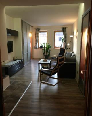 Apartmán v centru města