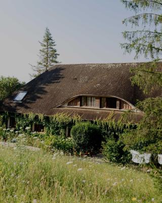 Domaine Foray