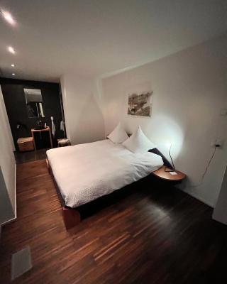 Deluxe Zimmer in Privatwohnung an zentraler Lage